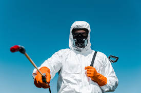 Seasonal Pest Control in Taunton, MA